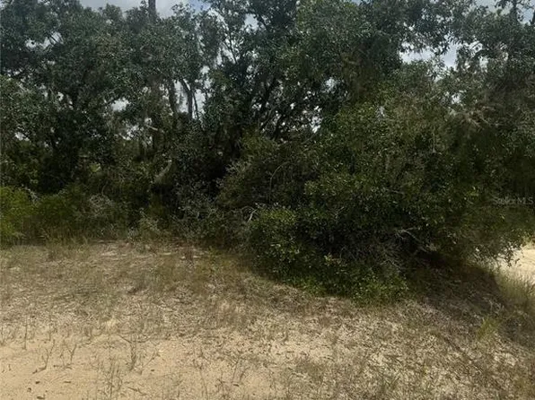 0 Hardstone Dr #11, Webster, FL 33597