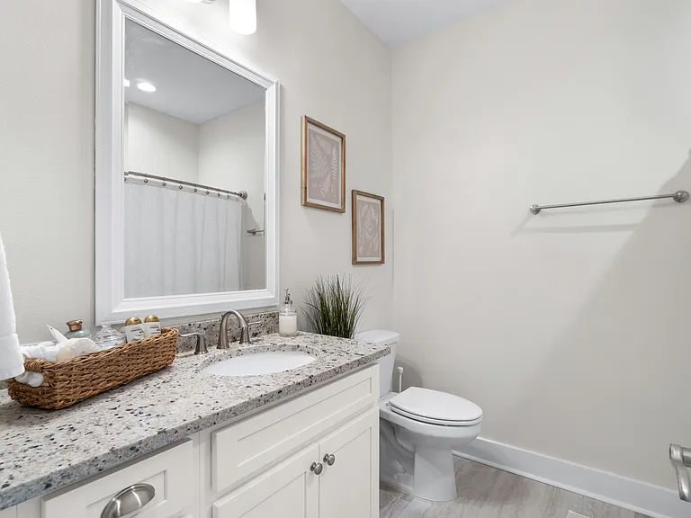 4224 Ida Coon Cir — Photo 41