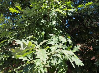 35 Wakulla Dr, Maggie Valley, NC 28751