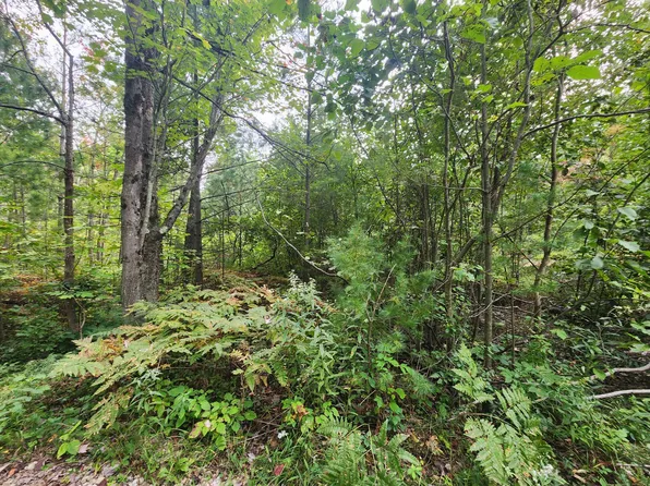 3178 N Dundale Rd, Spruce, MI 48762