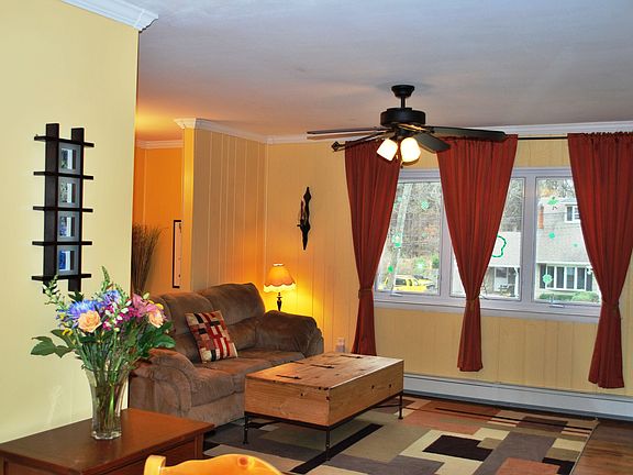 Light Filled Living Room