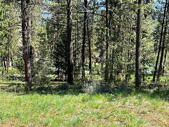 3rd image of LOT B6 Nine Camas Dr