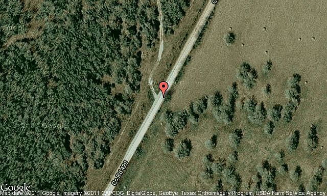 Map View