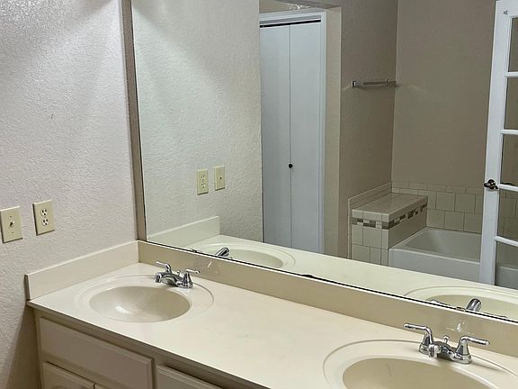Master bathroom vanity and tub