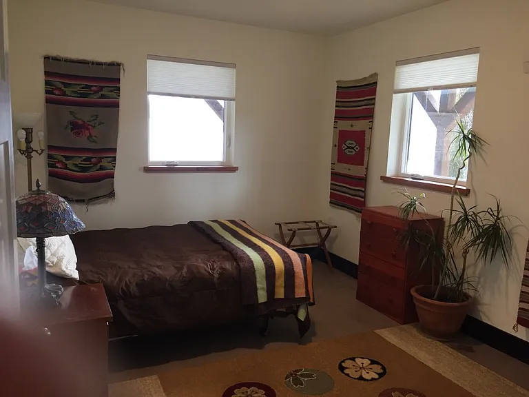 Downstairs bedroom.