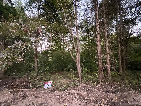 5th image of 5 Lyle Hollow Rd Lot 5