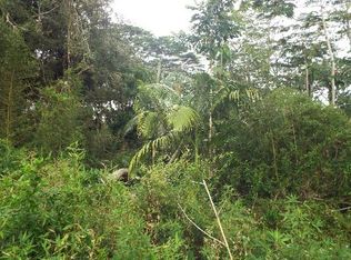 LOT 1 Lot 1, Pahoa, HI 96778