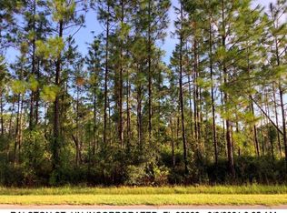 Ralston St LOT 591, Orlando, FL 32833