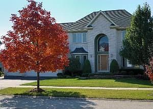 1st image of 5723 Rosinweed Ln