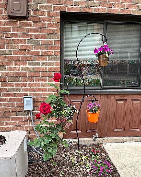 Front door