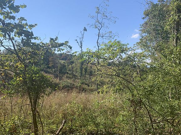5th image of 0 Collinson Ford Rd