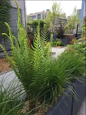 Rented by Nooklyn NYC LLC | media 31