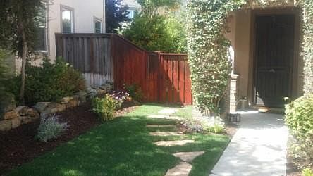 SECTION OF THE FRONT YARD