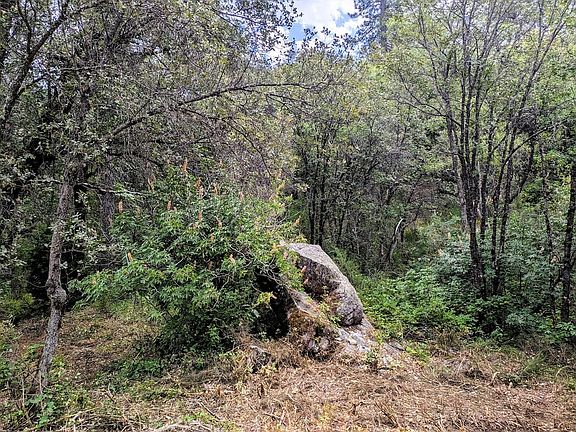 2nd image of 12998 Tyler Foote Rd