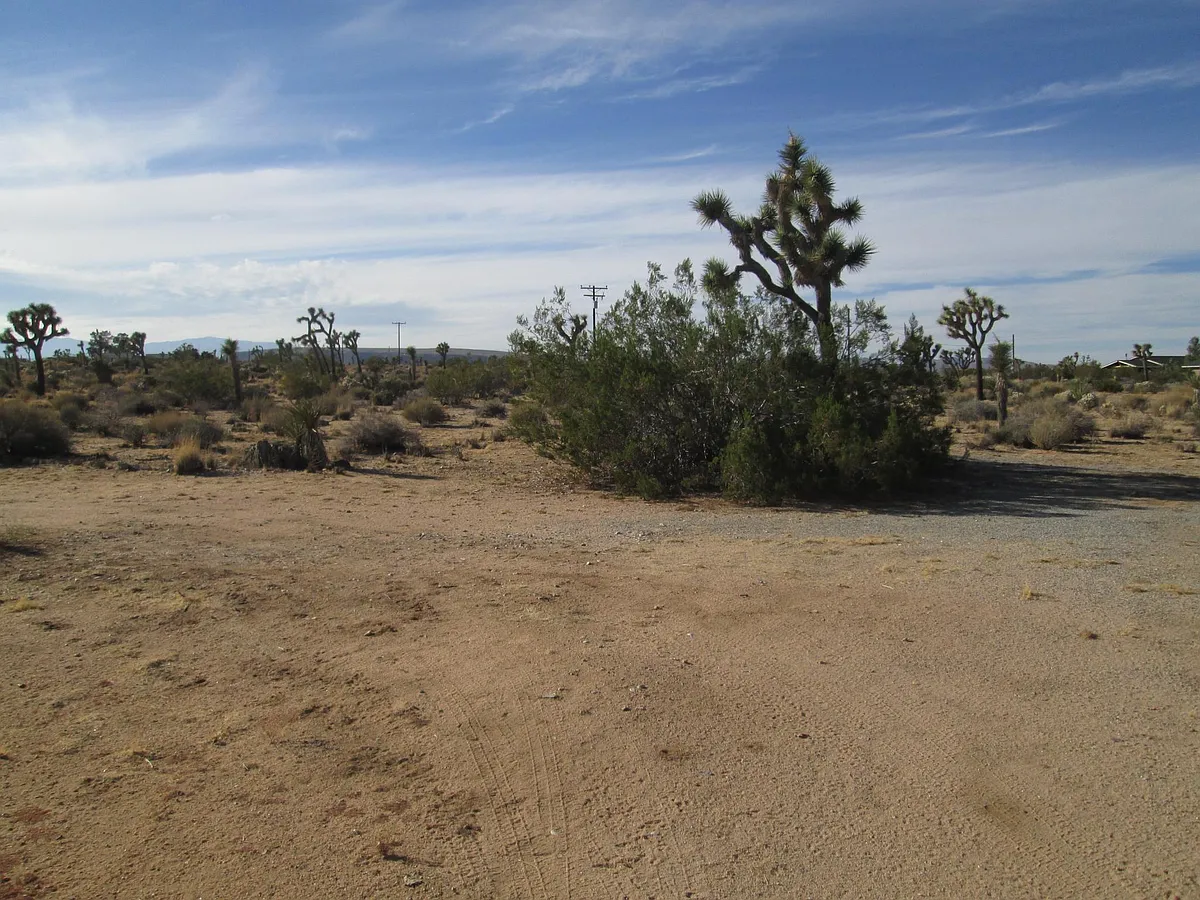 Front Yard - 57661 Aberdeen Dr #1