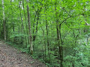 440 Odessa Ct, Ellijay, GA 30540