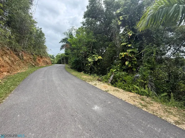 7 Los Mendez Bo Planas Isabela Solar 3 Mc .96 Cdas 7 #803, Isabela, PR 00662