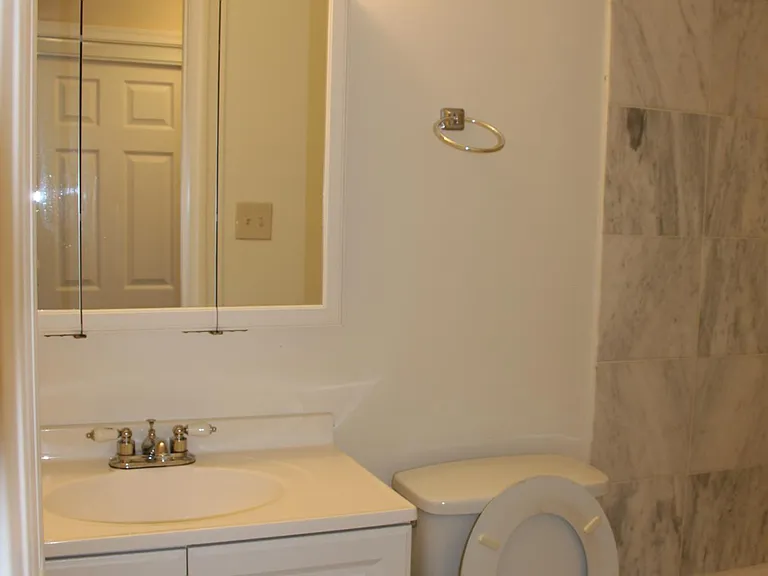1133 N Randolph St #303 — Photo 25
