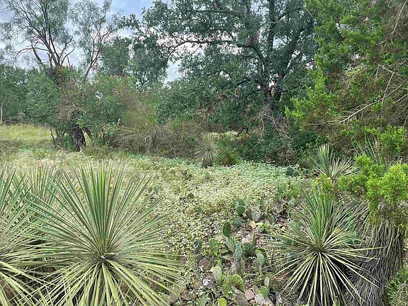 2nd image of Lots 1015, 1016 W Cottonwood