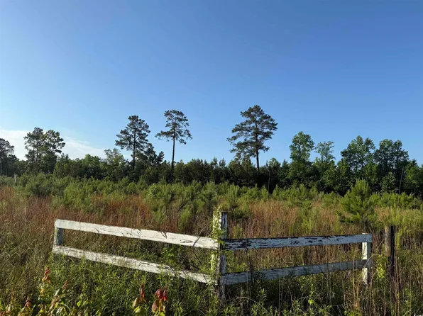 5 Acres Lot 2 Old Pee Dee Rd., Hemingway, SC 29554