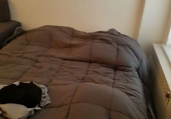 3rd image of 1667 1st Ave #1E