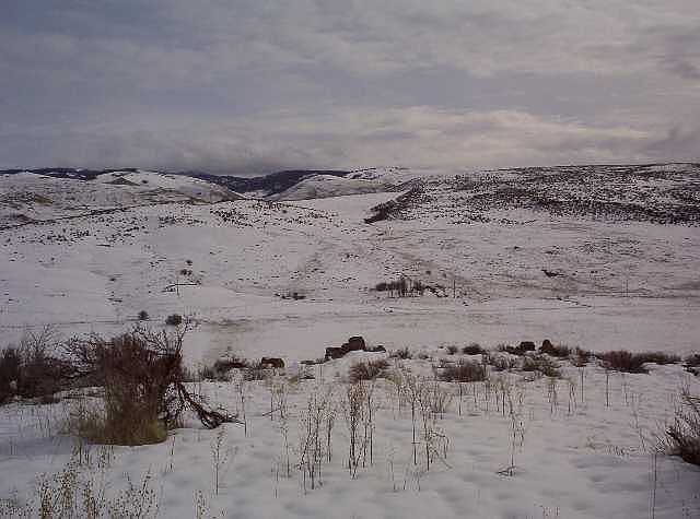 2nd image of Tbd Sweet Ola Hwy