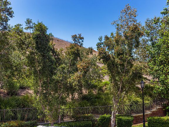 View from windows and patio 