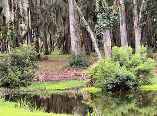 0 Sutherland Bluff Dr, Townsend, GA 31331