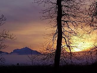 early fall morning
