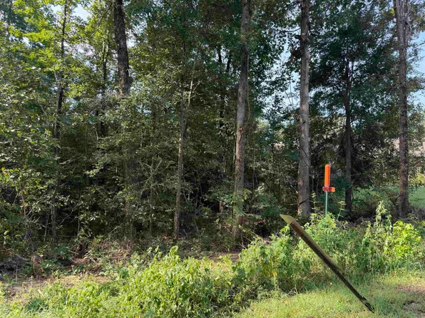 Castle Valley Rd, Mabelvale, AR 72103