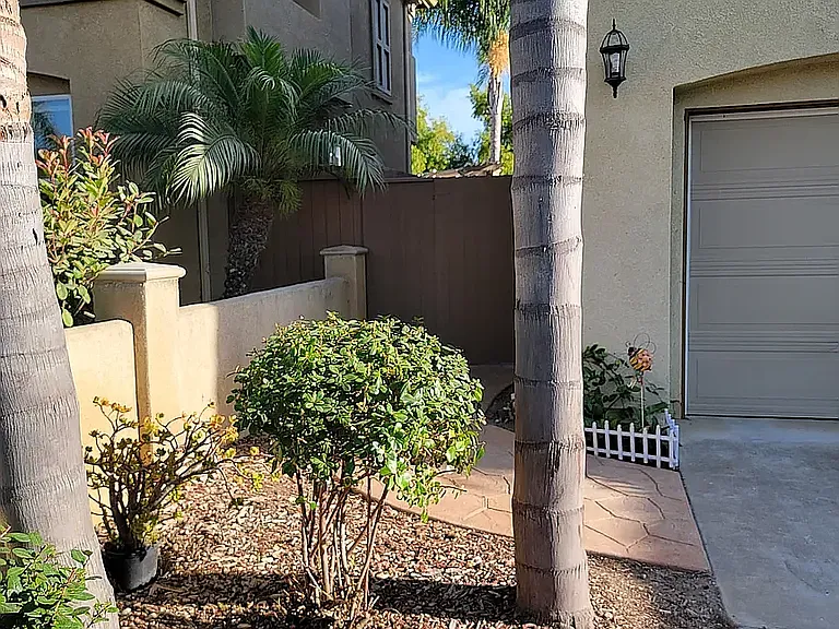 Toopal Dr — Photo 2