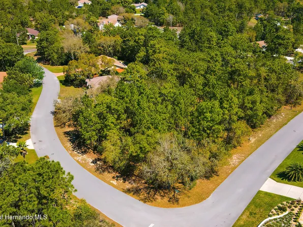 10 Bonnie Dr, Homosassa, FL 34446