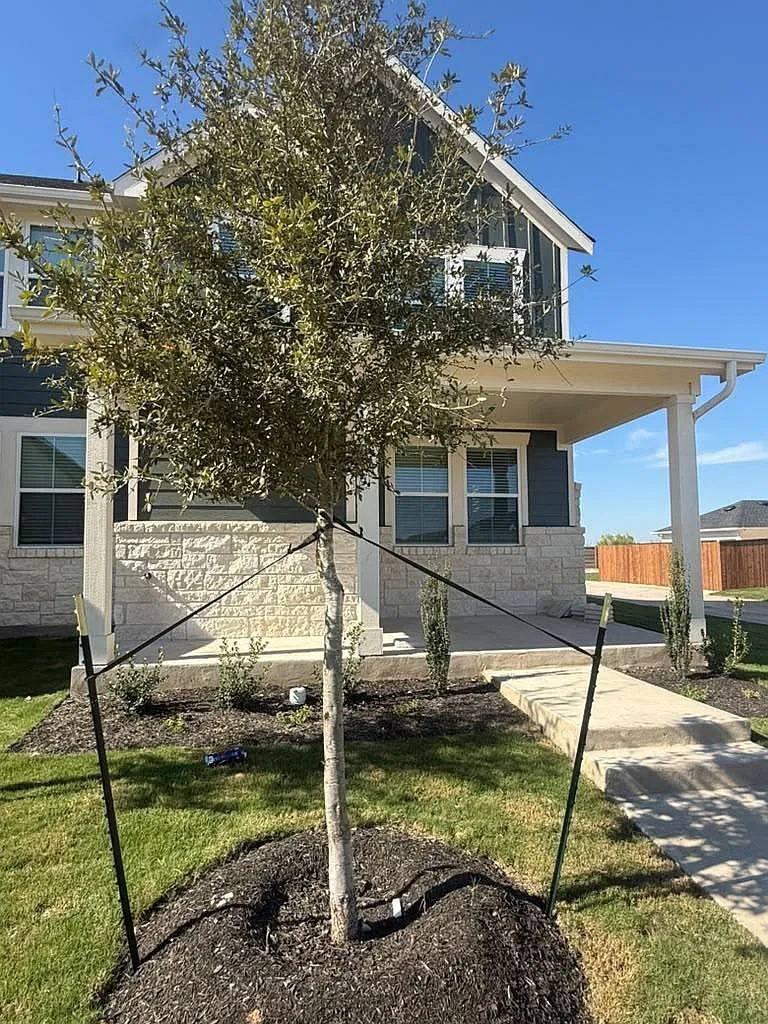 3 bed, 2.5 bath, 1757 sqft, $2,195 — Photo 4
