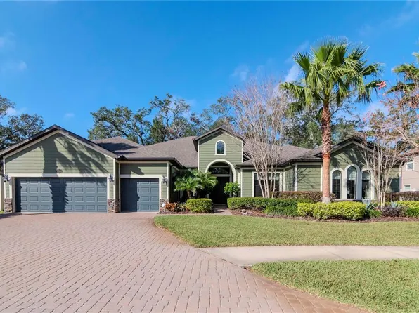 13904 Shadow Tree Ln, Tampa, FL 33618