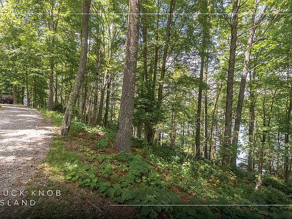 2nd image of Lot 8 Buck Knob Island