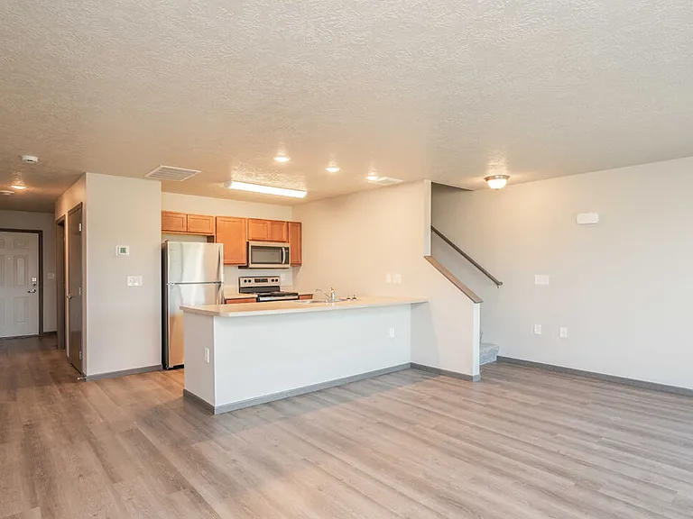 KITCHEN/LIVING AREA