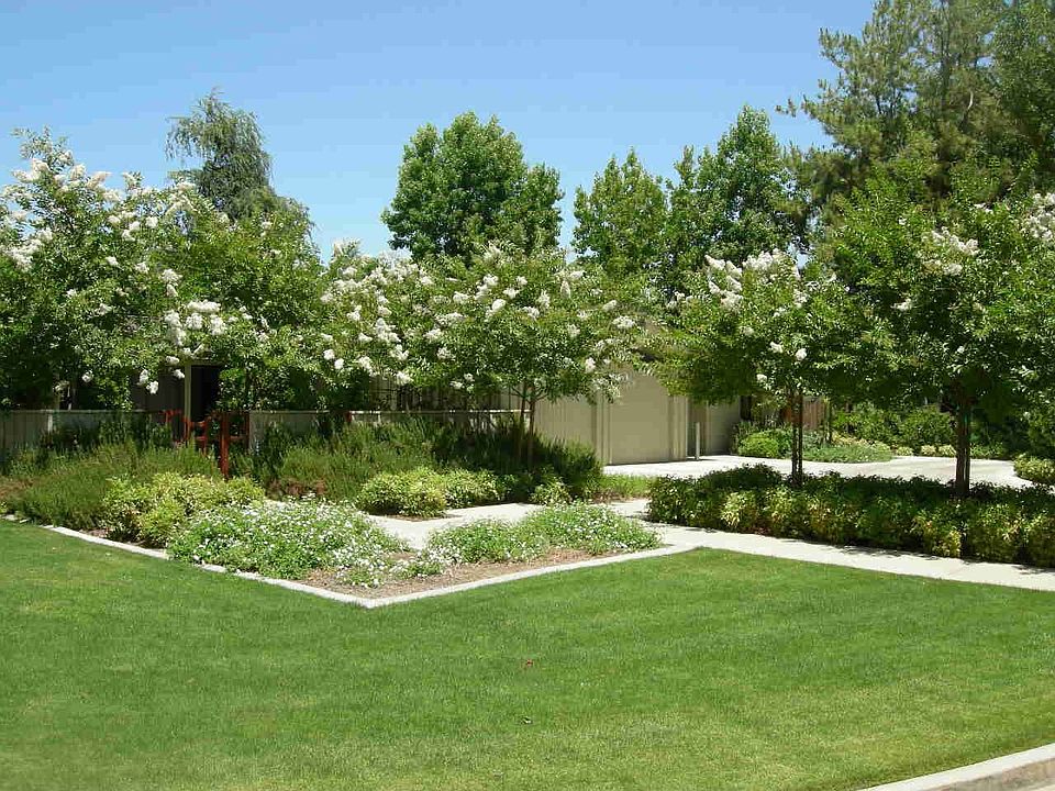 Front yard