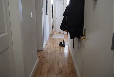 Rented by Evergreen Realty & Investments