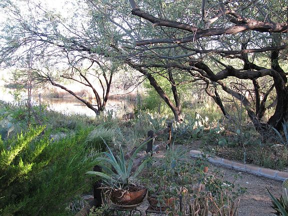 front yard