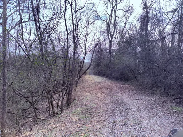 0 Chickory Rd, Newport, TN 37821