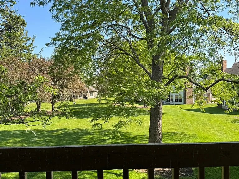 2513 Live Oak Ln — Photo 22