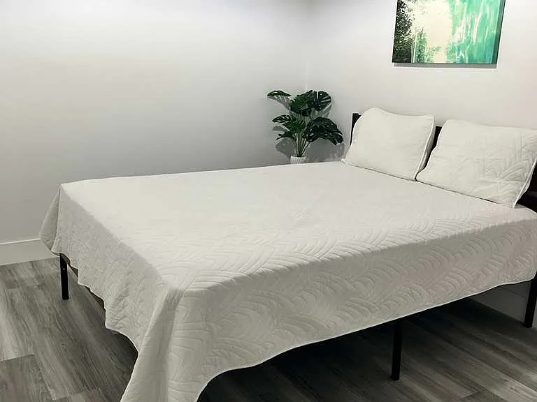Bamboo Cir — Photo 3