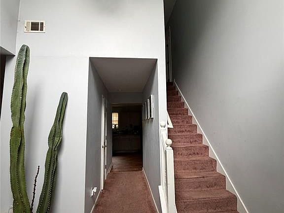3rd image of 2942 Duncan Pl