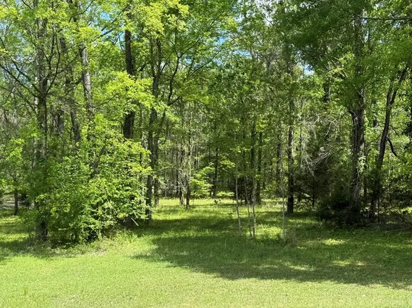 38 Shadow Creek Loop, Camden, AL 36726