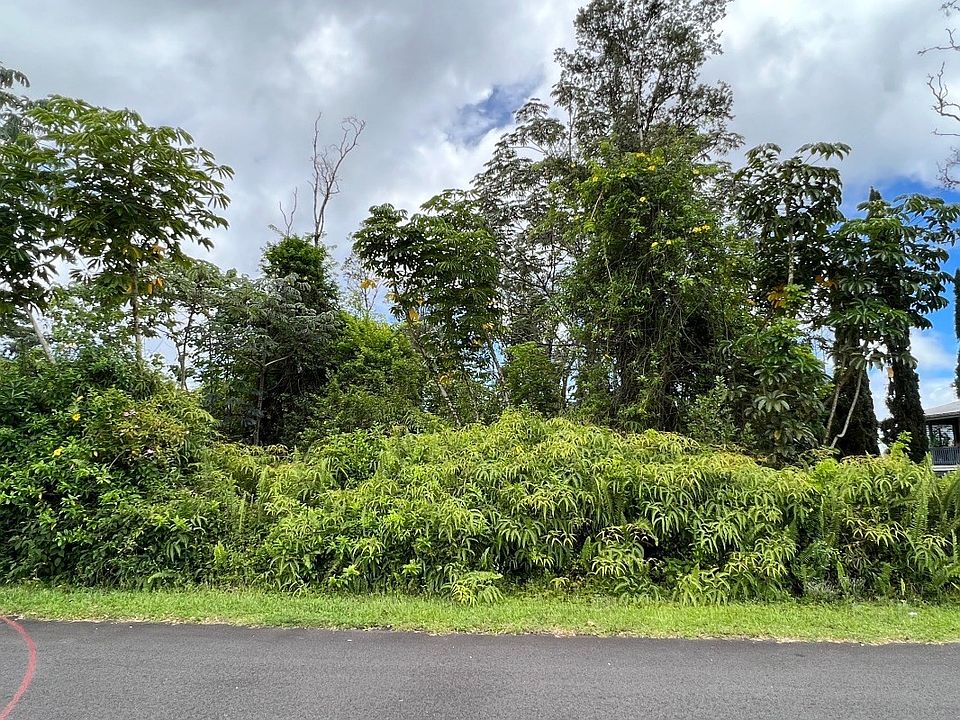 2nd image of Anthurium Dr Lot 27