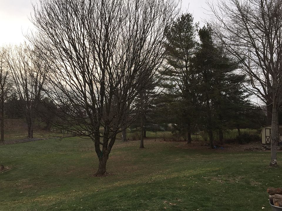 2nd image of 1110 Hunsicker Rd