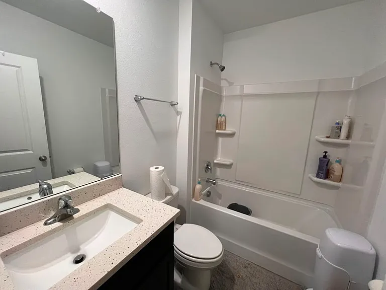 33432 Regent Canal St — Photo 4