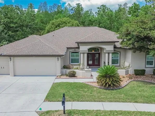 21234 Tangor Rd, Land O Lakes, FL 34637