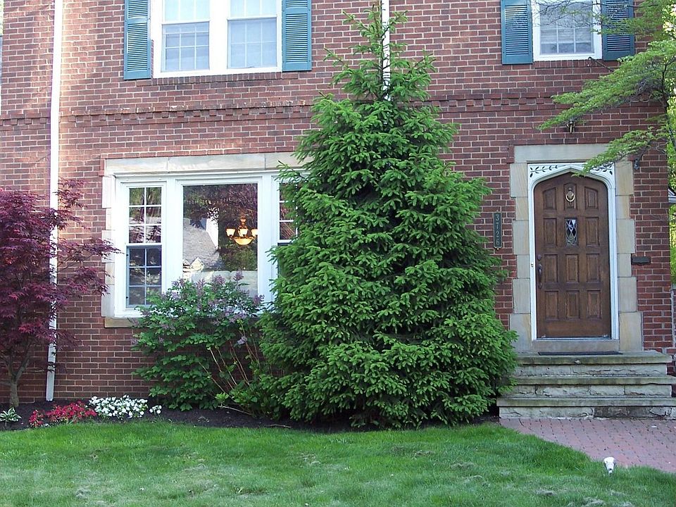 Front view 2006