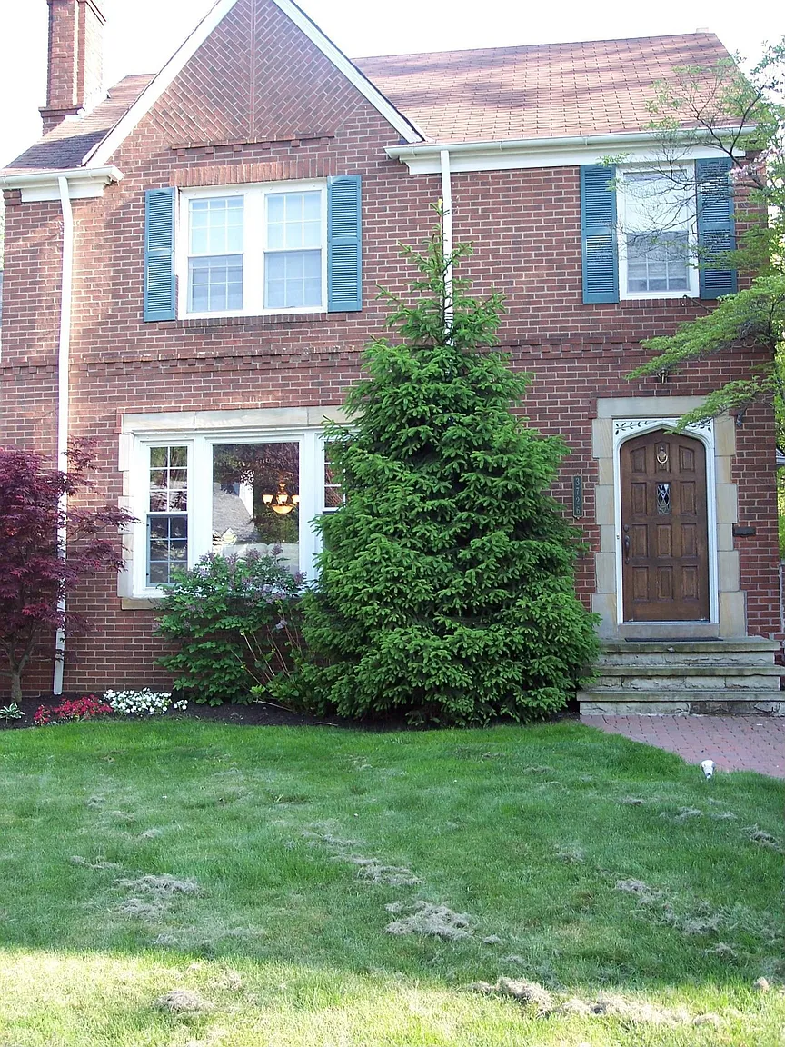 3726 Meadowbrook Blvd photo 1